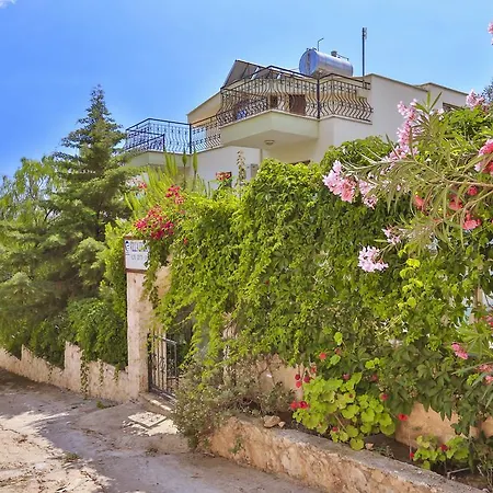Lycian 2*